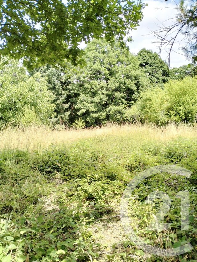 Afficher la photo en grand maison à vendre - 2 pièces - 40.04 m2 - LA MACHINE - 58 - BOURGOGNE - Century 21 Confluences