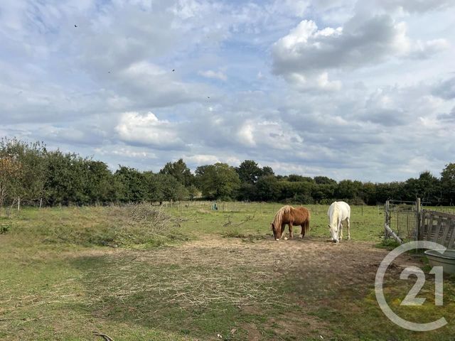 terrain - CHAMPVERT - 58