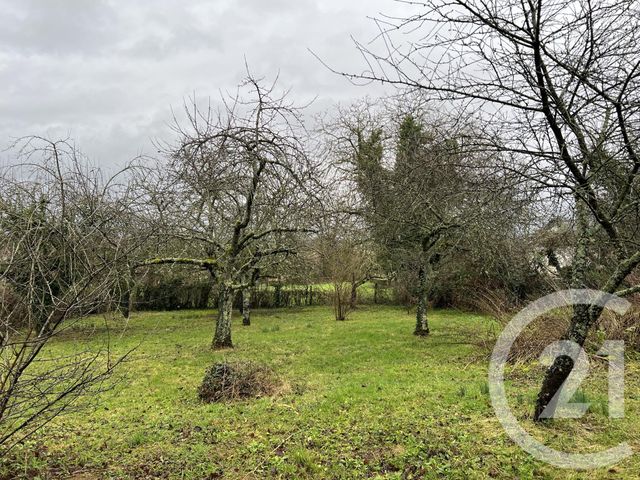 maison à vendre - 6 pièces - 116.08 m2 - CRUX LA VILLE - 58 - BOURGOGNE - Century 21 Confluences