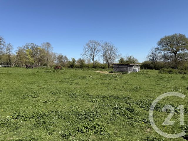 maison à vendre - 5 pièces - 137.23 m2 - FERTREVE - 58 - BOURGOGNE - Century 21 Confluences