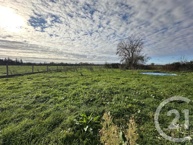 maison à vendre - 4 pièces - 100.26 m2 - CERCY LA TOUR - 58 - BOURGOGNE - Century 21 Confluences